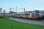 Der RBDe 560 235 mit dem RBDe 560 245 mit der  ChocolatExpress  Vollwerbung als RE2 nach Broc-Fabrique am 15.9.23 kurz nach der Abfahrt in Düdingen.