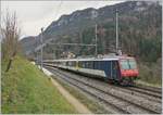 Der RE 18124 Neuchâtel (12:06) nach Frasne (13:06) bei der Durchfahrt in Champ du Moulin.  Der Zug besteht aus folgenden Fahrzeugen: RBDe 560 004-2, AB 50 85 30-35 603-1, B 5085 20-35 600-9, B 85 20-35 602-5 und dem leider versauten Bt 50 85 29-35 952-5.

24. Nov. 2019 