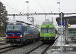 Sirupzug Aarberg-Anklam vom 14. Januar 2021, bespannt mit der Vectron 193 534, im Bahnhof Aarberg anlässlich einer Begegnung mit dem BLS RBDe 565 731.
Fotostandort Bahnübergang, Bildausschnitt Fotoshop.
Foto: Walter Ruetsch
 