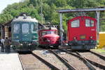 Gruppenbild mit RBe 4/4 ex SBB, Roter Pfeil der OeBB und dem Rangiertraktor am 1.8.17 beim Triebwagentreffen vor dem Depot Koblenz.
