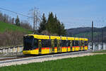 Be 6/8 109 Tramlink der WB fährt am 20.03.2024 zur Station Hirschlang.