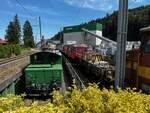 Makies in Zell    Eingereit links bei der Verladestation ist die Tem 55 (soviel ich weiss ist diese Elektro und Diesel? Dass sie eine so grosse Last schieben/ziehen kann, überrascht mich etwas.