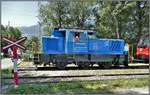 Die Firmeneigene Stadler Rail Lok Eea 9785 1936 131-2 hat die Rollschemel mit dem Capricorn nach Landquart Ried gebracht. (27.06.2019)