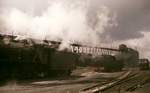 Dampfatmosphäre pur im Depot Paarden Island/Kapstadt im November 1976 - doch der Eindruck täuscht: Viele Loks waren bereits kalt abgestellt und die wenigen noch eingesetzten versahen