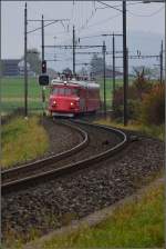 Noch ein scheues Wild. ...  Olli 24.10.2011