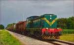 SŽ 643-028 zieht Güterzug durch Cirkovce-Polje Richtung Pragersko. /11.7.2014
