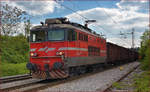 SŽ 342-005 zieht Güterzug durch Maribor-Tabor Richtung Norden.