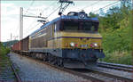 SŽ 363-005 zieht Güterzug durch Maribor-Tabor Richtung Tezno VBF.