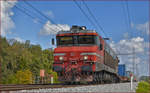 SŽ 363-019 zieht Containerzug an Črešnjevec vorbei Richtung Koper Hafen. /4.10.2017