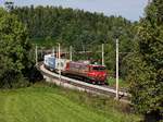 Die 363 035 mit einem Containerzug am 27.09.2019 unterwegs bei Pivka.