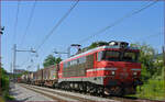 SŽ 363-038 zieht Güterzug durch Maribor-Tabor Richtung Norden. /10.2.2021