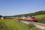 Am 11. September 2023 ist SŽ 363 023 mit einem Güterzug bei Poljčane unterwegs. 