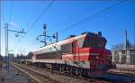 SŽ 363-019 zieht lehren Containerzug durch Maribor-Tabor Richtung Norden. /13.1.2014