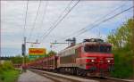 SŽ 363-004 zielt lehren Autozug durch Maribor-Tabor Richtung Norden.