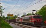 SŽ 363-028+363-? ziehen Güterzug durch Maribor-Tabor Richtung Norden. /7.5.2014