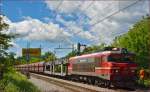 SŽ 363-015 zieht Güterzug durch Maribor-Tabor Richtung Norden. /12.5.2014