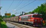 SŽ 363-026 zieht Güterzug durch Maribor-Tabor Richtung Norden. /18.7.2014