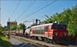 SŽ 363-009 zieht Güterzug durch Maribor-Tabor Richtung Norden.