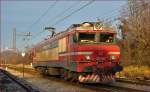 SŽ 363-007 fährt durch Maribor-Tabor Richtung Maribor HBF.