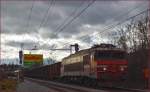 SŽ 363-019 zieht Güterzug durch Maribor-Tabor Richtung Norden.