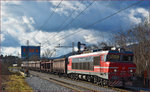 SŽ 363-008 zieht Güterzug durch Maribor-Tabor Richtung Norden.