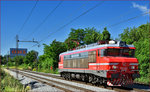 SŽ 363-003 fährt als Lokzug durch Maribor-Tabor Richtung Maribor HBF.