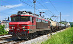 SŽ 363-027 zieht Kesselzug durch Maribor-Tabor Richtung Süden. /8.6.2016