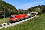 Mit einem kurzen, aber fotogenen gemischten Güterzug konnte ich am 13. September 2021 die 541 011 der SŽ bei Štrihovec kurz hinter der österreichischen Grenze fotografieren.