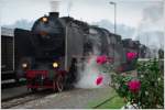 Red roses - Impression der SZ Dampfloks 06-018 & 33-037 kurz vor der Abfahrt in Nova Gorica.