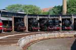 sommerfest-halle-saale Neben den 3 Ludmillas und den 4 Albau-E-Loks waren am 03.07.10 diese Dampfr�sser zu sehen.