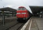 Hier 219 084-1 mit ...  Alexander Borchardt 10.07.2010