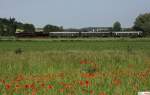 BEM N�rdlingen 52 8168-8 ...  Frank Grohe 28.10.2011