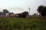 15037  ...  Hansj�rg Brutzer 10.03.2011