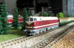Sonstige BR 119 049 der DR mit Schnellzug, am 05.10.2009. (Epoche IV)