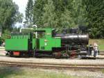 Die Leihgabe-Lok 100.13 beim ...  Karl Seltenhammer 19.06.2010