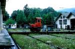Sonstige (80 Photos)