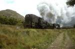 GMAM-4122 + ...  Hansj�rg Brutzer 18.12.2009