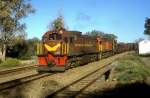 34-109 + ...  Hansj�rg Brutzer 27.11.2009