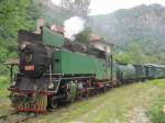 Sonstiges Lok 609 76 in Cepina am 09.06.2010