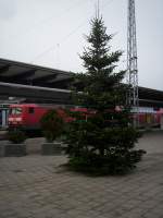 Sonstiges Mit diesem kleinen Weihnachtsgru� m�chte ich Euch ein Frohes Weihnachtsfest w�nschen !