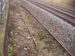 Sonstiges Die Natur holt es sich zur�ck in Beuel am 4.2.10