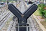Die Tierwelt weiss die Form der Lichtsignale zu sch�tzten. Nistende ...