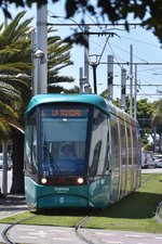 SANTA CRUZ DE TENERIFE (Kanaren/Provinz Santa Cruz de Tenerife), 29.03.2016, ein Citadis von Alstom, betrieben als Wagen 23 der Tranvía Tenerife, auf dem Weg nach La Trinidad