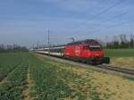 Noch immer verh�ltnism�ssig bunt ...  Silvan Wyss 02.06.2011