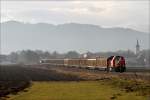 steiermarkische-landesbahnen-normalspur-1435mm Gmeinder D6 der STLB f�hrt mit dem Zellstoffzug SGAG 93043 von P�ls nach St.Michael. Fohnsdorf 31.12.2009