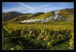 Golden Autumn - eine grandiose Herbststimmung bot sich uns am 28.10.2016 in der Wachau.