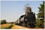 629.01 mit SDZ R16538 von Gro Engersdorf nach Gro Schweinbarth. Bockflie, 20.9.2009