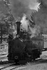 Die 1906 von Krauss in Linz gebaute Dampflokomotive  12  Ende August 2019 am Bahnhof in Mauterndorf.