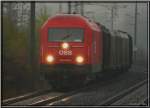 Hercules 2016 095 fhrt im strmenden Regen mit einem Hackschnitzelzug von Knittelfeld nach Pls.
Fotografiert in Spielberg 18.10.2007