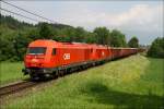 2016 055 und eine weitere 2016 ziehen den Holzzug 55557 von Zeltweg nach Frantschach.